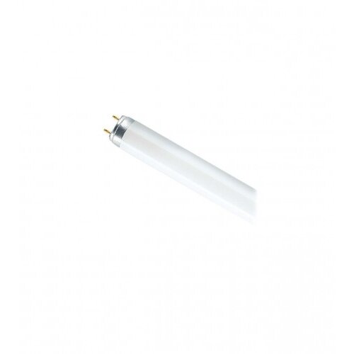 Osram Fluorescentna svijev L 36W-765 Cijene