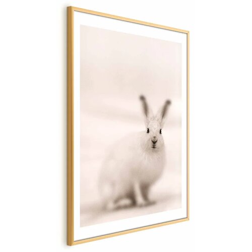  Plakat - Fearful Look 40x60 Zlatni okvir s margom Cene