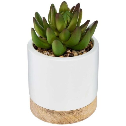 Atmosphera Umjetno cvijeće Succulent, 12 cm Cene