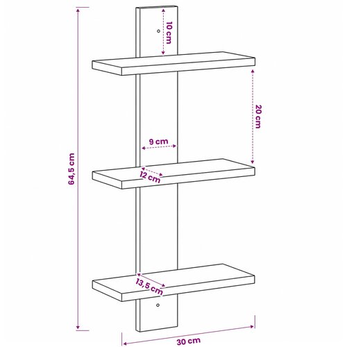  Zidna polica Drvo hrasta 30 x 13.5 x 64.5 cm Prerađeno drvo Slike