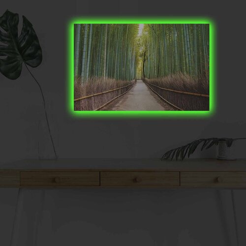 Wallity Slika sa LED osvetljenjem 4570DHDACT-159, 45x70 cm Cene