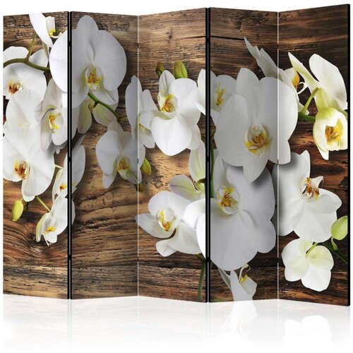  Paravan u 5 dijelova - Forest Orchid II [Room Dividers] 225x172 Cijene