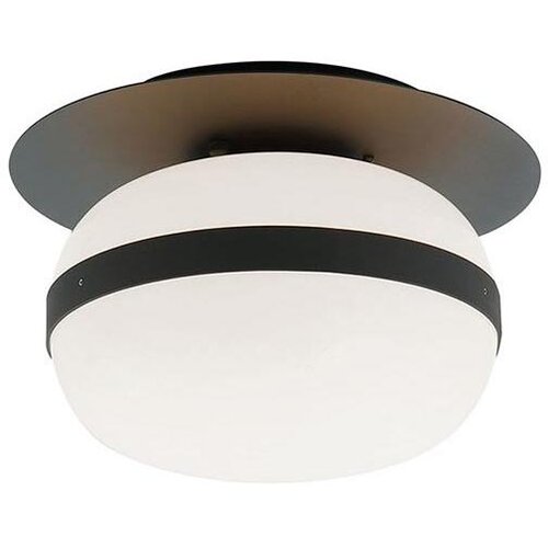  Plafonsko svetlo PALMA 1xE27/40W/230V crno Slike