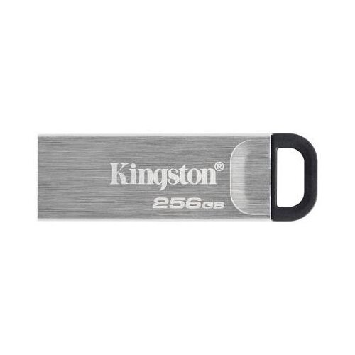 Kingston FD 256GB DTKN Cijene