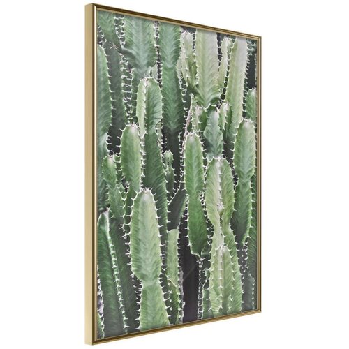  Poster - Cactus Plantation 40x60 Slike
