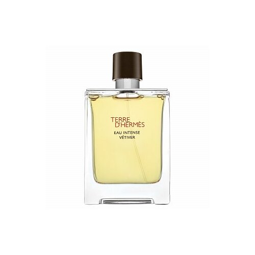 Hermès Terre D&apos;Hermes Eau Intense Vetiver parfémovaná voda za muškarce 100 ml Cijene