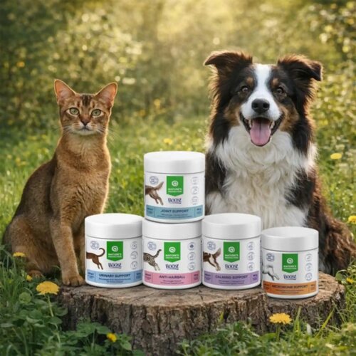 Nature&amp;#039;s Protection Boost Calming Support poslastice za pse, smirenje i protiv stresa Slike