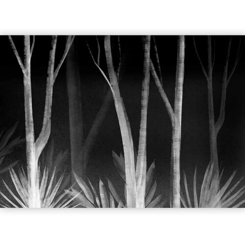  Foto tapeta - Noise of the forest at night - minimalist landscape of white trees on a black background 490x350 Slike
