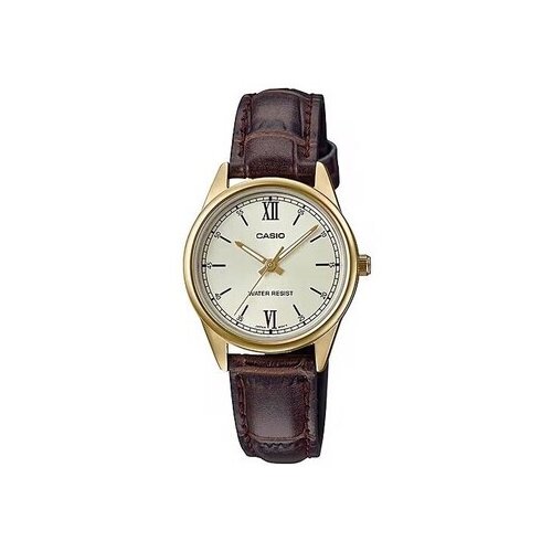 Casio Analogne ure ty561540 pisana Cene