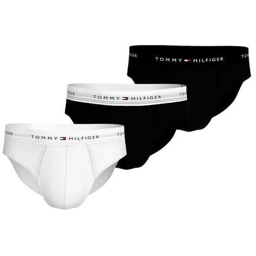 Tommy Hilfiger muški slip u setu Cene