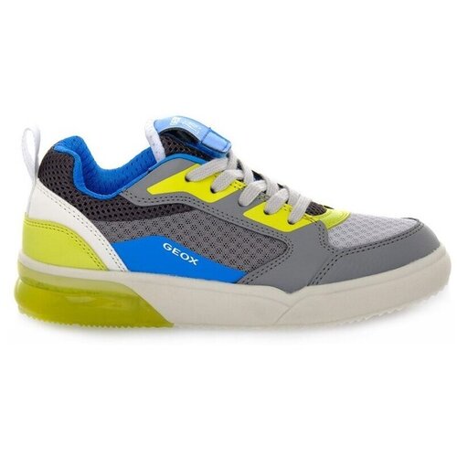 Geox Grayjay sarena Cene