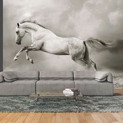  Tapeta - Wild Stallion 350x270 Cijene
