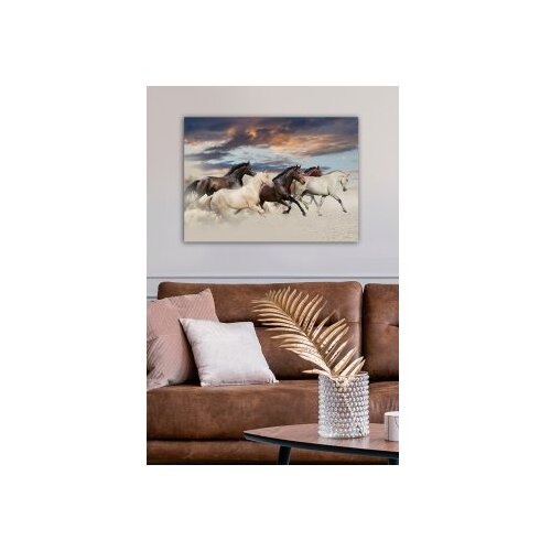 WALLXPERT Slika na platnu 50x70cm Cene