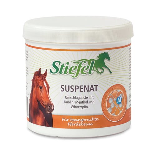 Stiefel Suspenat - 2 kg Cene