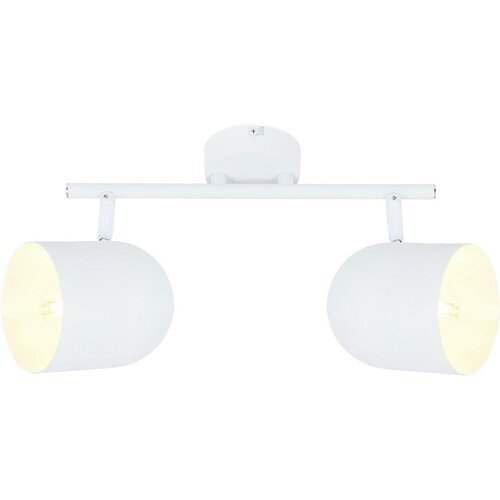 Lesnina XXXL REFLEKTOR 38/18/10 cm Cene