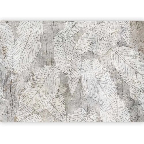  Foto tapeta - Shadow Full of Sough 350x256 Cene