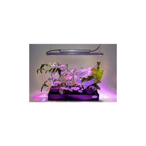 Venso LED svjetlo za rast biljaka 65 cm 230 V LED fiksno ugrađena 35 W RGBw 1 St. Cijene