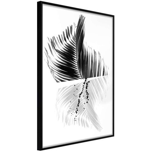  Poster - Abstract Feather 20x30 Cijene