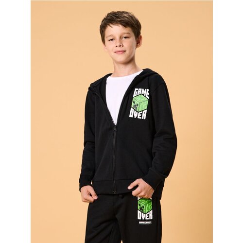 Sinsay Hoodie s tiskom Minecraft Cijene