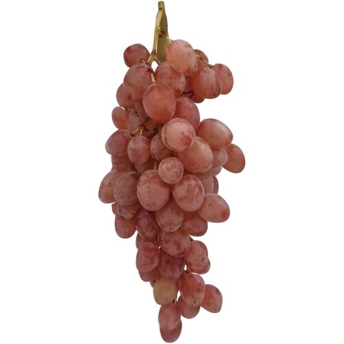 Maxi pijaca Grozdje roze Red Globe Cene