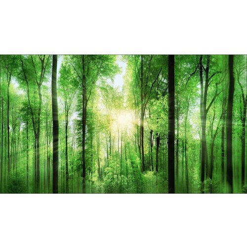 ProArt gicl&amp;egrave;e forest feeling 160 cm x 90 cm Slike