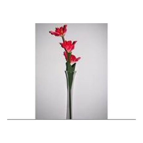  PVC cveće 620934 160-172 125cm240 bc ( 132057 ) Cene