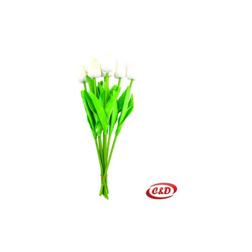  Tulipan 1 komad Slike