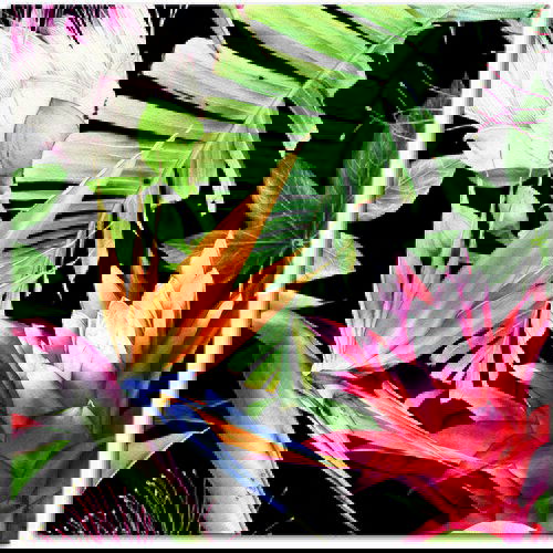 Pintdecor Zidni ukras Flowers Cijene
