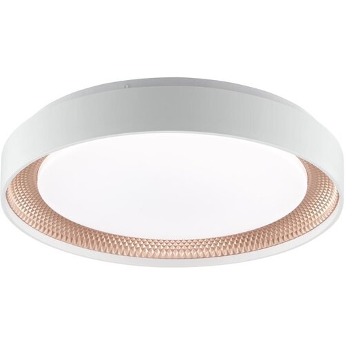 Brilliant LED prigu&amp;scaron;iva stropno svetlo WALDO LED/24W/230V bela/ružičasto zlato + daljinski upravljač Slike