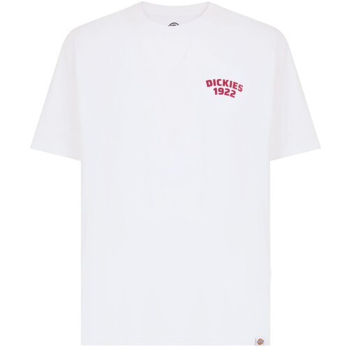 Dickies DK0A4Z96 Bijela Slike