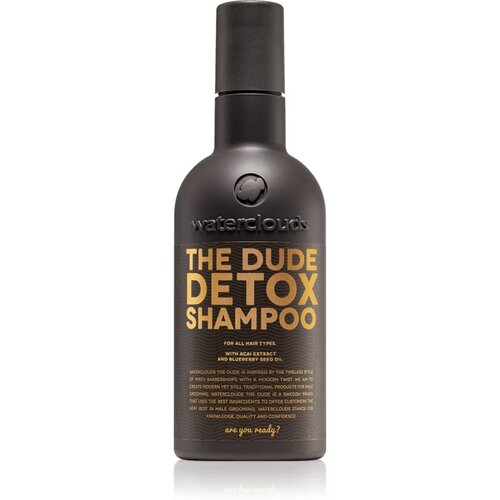 Waterclouds The Dude dnevni razstrupljevalni šampon 250 ml Cene