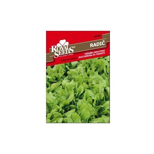  Radič Tržaški Salatni Royal Seeds Cene