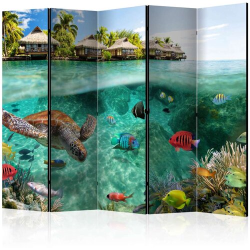  Paravan u 5 dijelova - Under the surface of water II [Room Dividers] 225x172 Slike