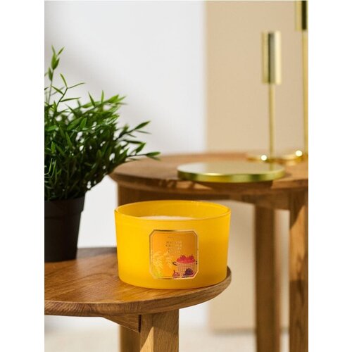 Sinsay Svijeća Harvest Grains & Autumn Fruits Cijene