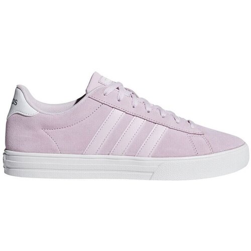 Adidas Nizke superge Daily 20 Rožnata Cene