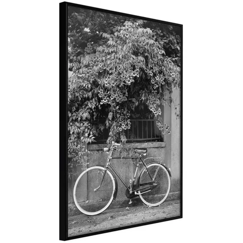  Poster - Bicycle with White Tires 20x30