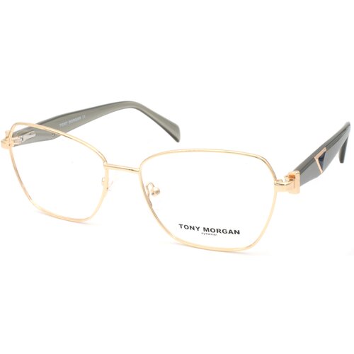 Tony Morgan LE6453 Cene