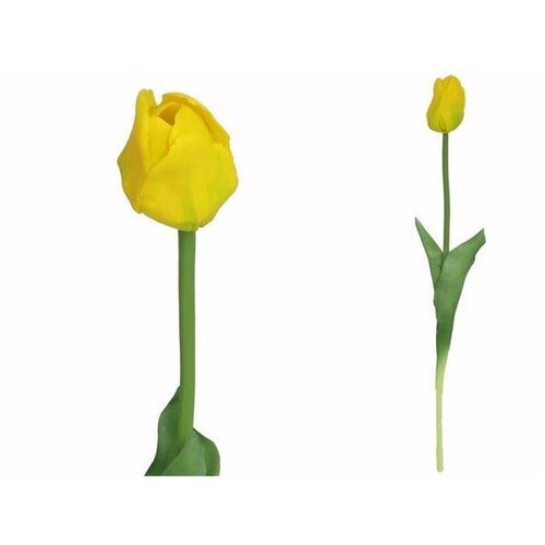  TULIPAN PVC 47CM Cijene