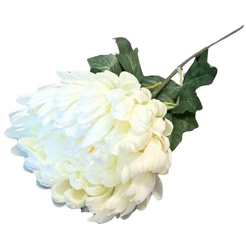  Umjetni cvijet Krizantema (Visina: 66 cm, Boja cvijeta: Krem) Cijene