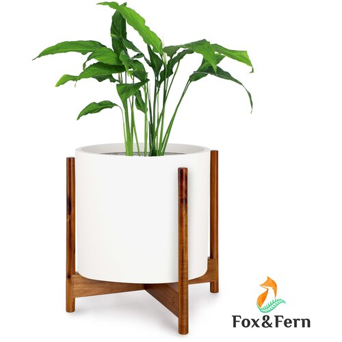 None Gendt + Zeist, komplet cvetličnega lončka s stojalom, velikosti XL, kamen iz vlaken, akacijev les Cene