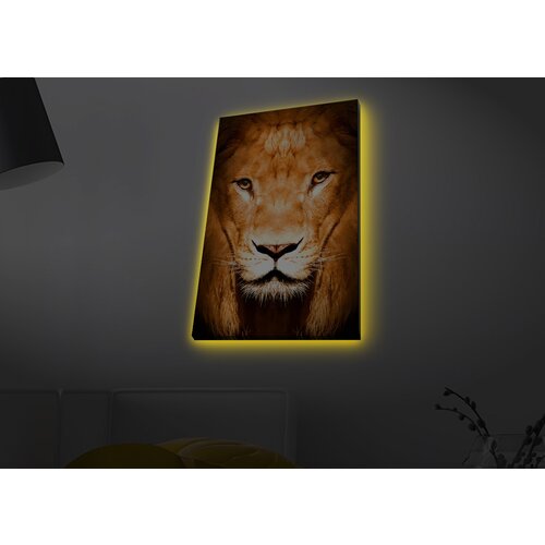 Opviq slika na platnu sa LED osvetljenjem 45x70cm Cene