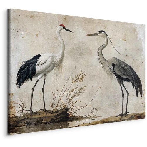  Slika - Birds from an old engraving - vintage-style illustration depicting a heron and a crane 90x60 Standard Cene