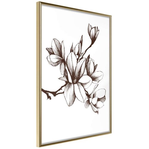  Poster - Fragrant Decoration 20x30 Slike