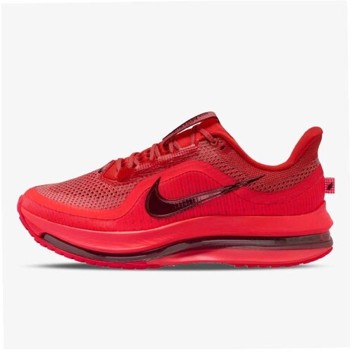 Nike pegasus premium Cene