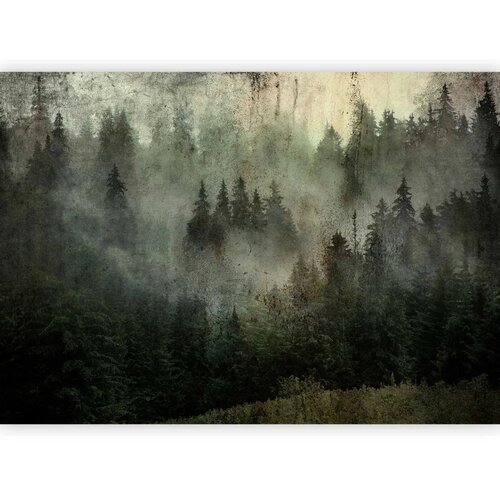  Foto tapeta - Misty Beauty of the Forest 300x210 Premium Slike