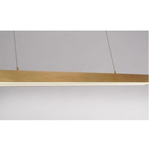 PAUL NEUHAUS 2568-60 - led prigu&amp;scaron;iva luster na sajli adriana LED/14W/230V mesing Slike