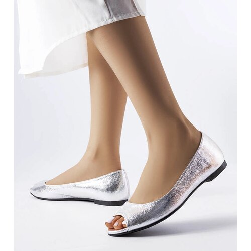 Gemre Silver Metallic Ballet Flats Trieux Cijene