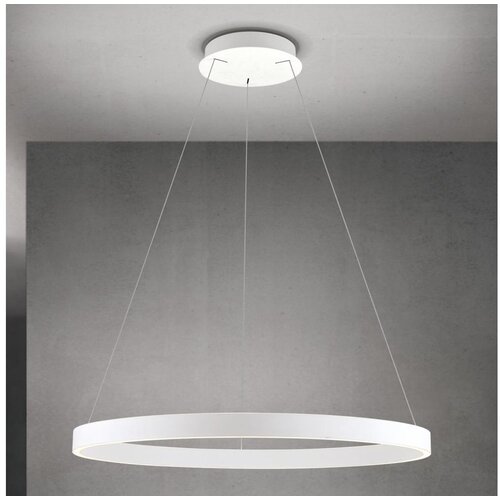 Orion led prigu&amp;scaron;iva luster na sajli kolk LED/80W/230V 2700/3000/4000K prečnik 80 cm, beo Slike