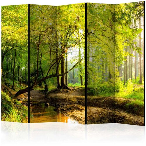  Paravan u 5 dijelova - Forest Clearing II [Room Dividers] 225x172 Cijene