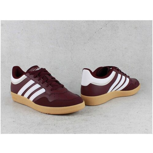 Adidas Nizke superge Hoops 4.0 Bordo Slike